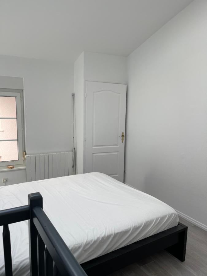 Ferienwohnung Nancy Hypercentre 34 Rue Des Dominicains ! Exterior foto